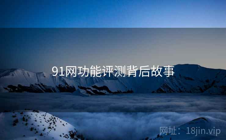 91网功能评测背后故事