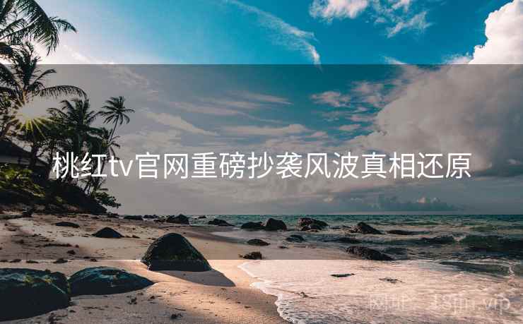 桃红tv官网重磅抄袭风波真相还原