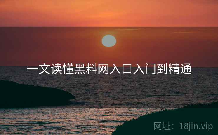 一文读懂黑料网入口入门到精通