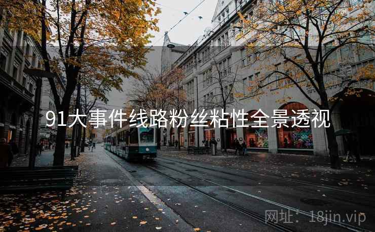 91大事件线路粉丝粘性全景透视