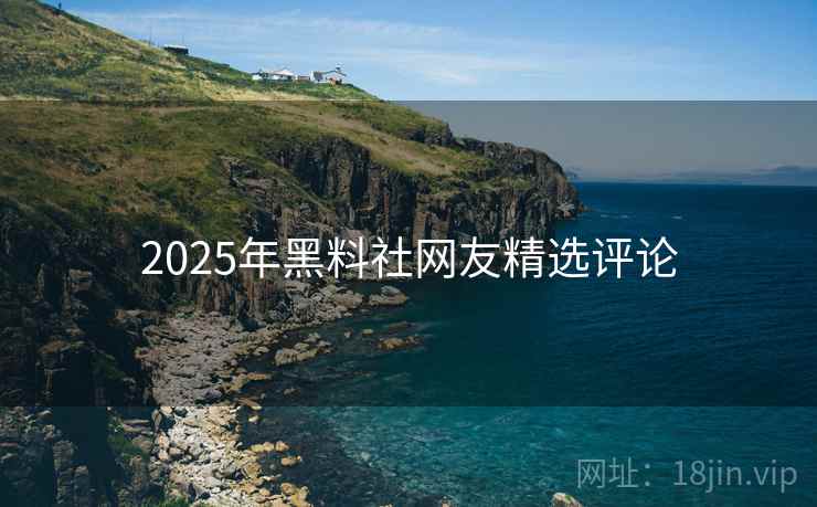 2025年黑料社网友精选评论