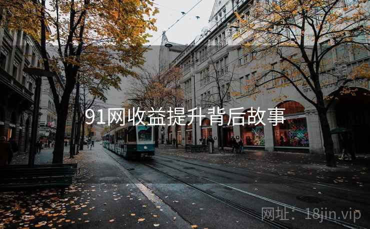 91网收益提升背后故事