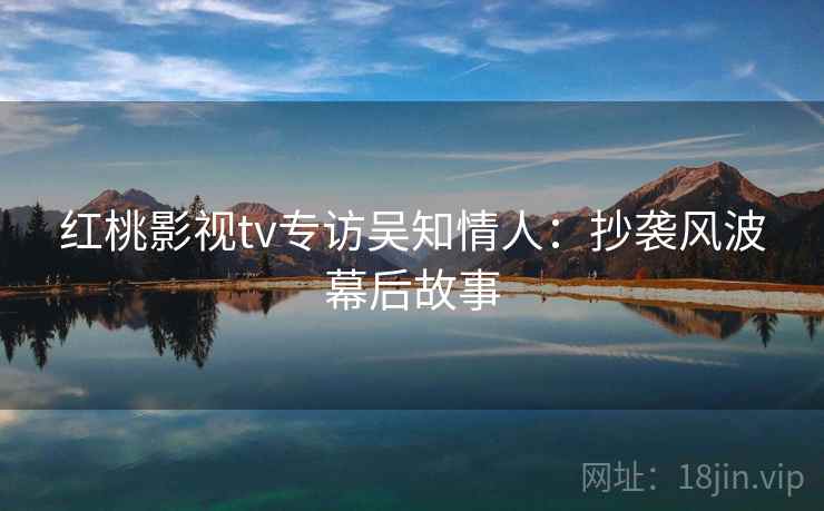 红桃影视tv专访吴知情人：抄袭风波幕后故事