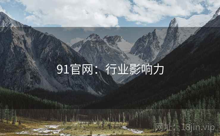 91官网:行业影响力