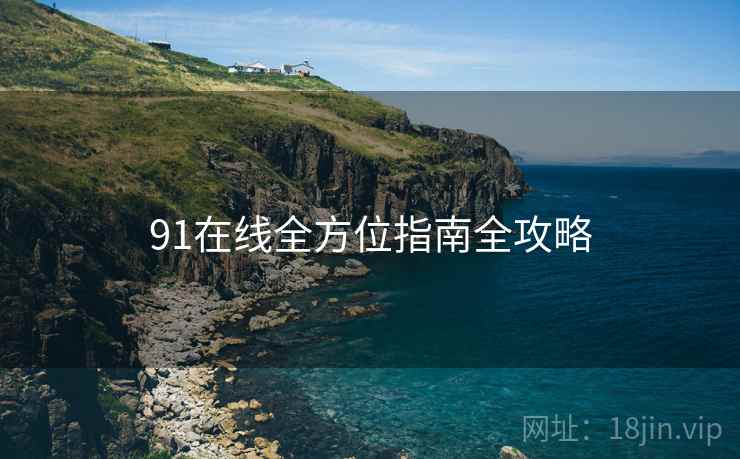 91在线全方位指南全攻略